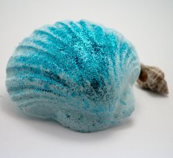 Softie Seashell